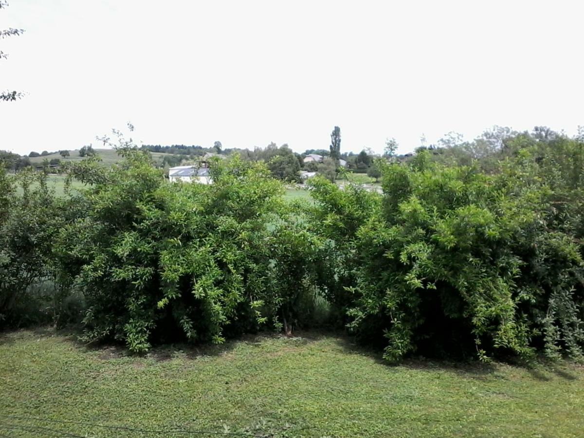 Choisy Les Haies Vives מראה חיצוני תמונה